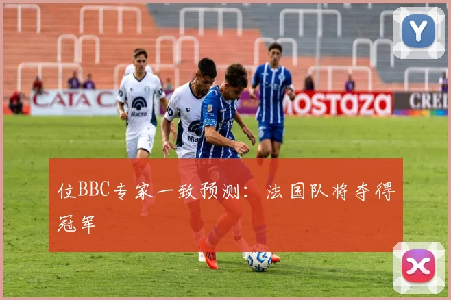 位BBC专家一致预测：法国队将夺得冠军