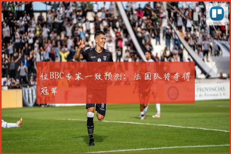 位BBC专家一致预测：法国队将夺得冠军
